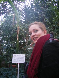 bethelnuss-palme_blog1