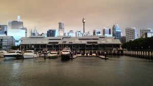 dark skyline_Kim Arlington